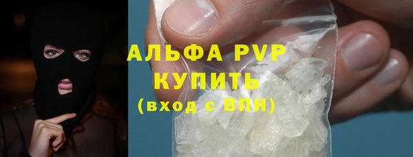 молекула духа Арсеньев