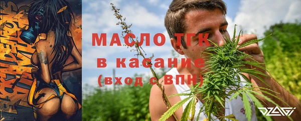 молекула духа Арсеньев