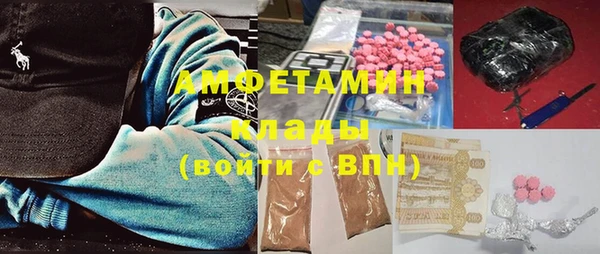 молекула духа Арсеньев