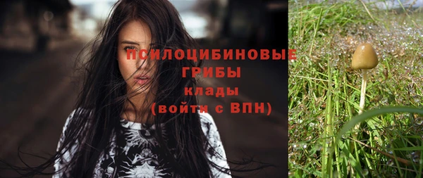 молекула духа Арсеньев