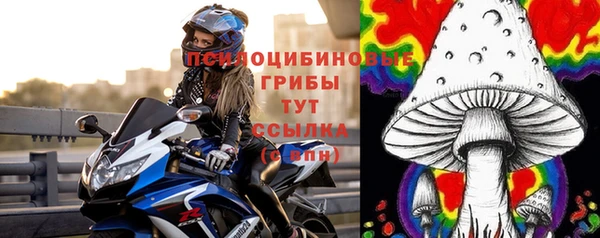 СК Армянск