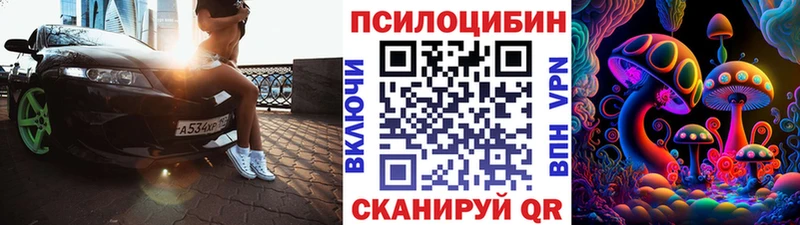 Купить где  Нефтегорск  Галлюциногенные грибы Psilocybe 
